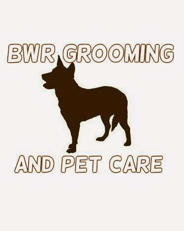 BWR Grooming and Pet Care